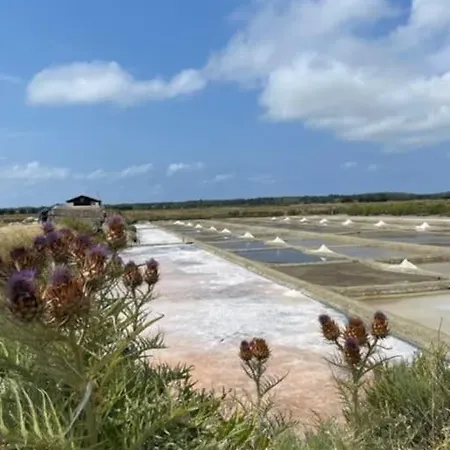 Vakantiehuis Chaleureux A La Campagne Et En Bord De Mer